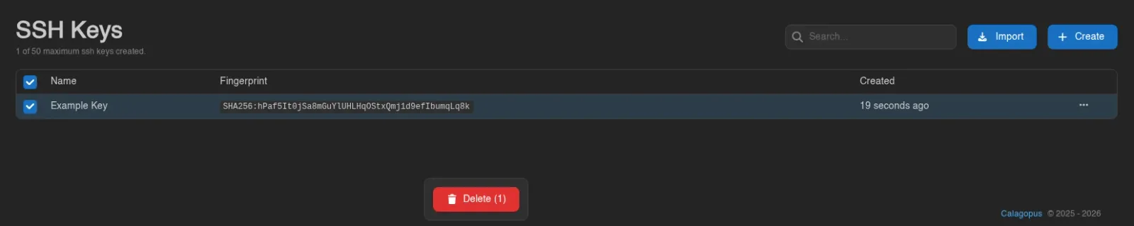 SSH key selected with the bulk Delete control