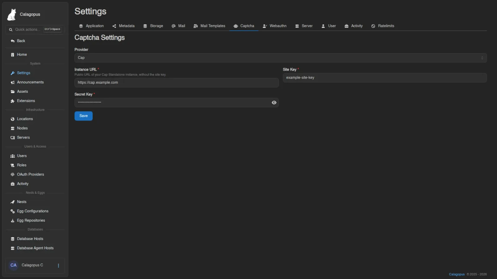 Cap settings with instance URL and key fields