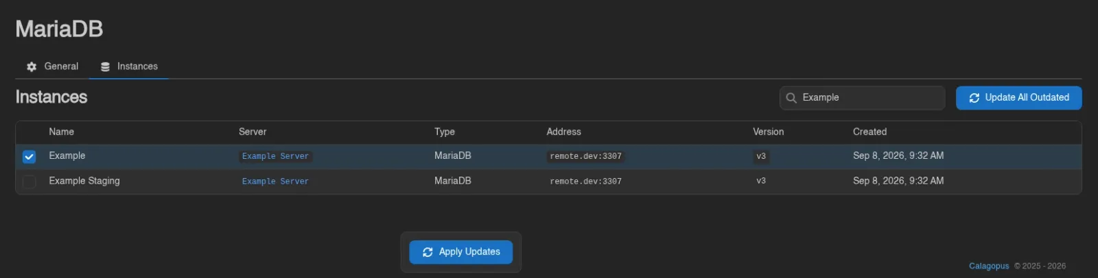 Template instance selected with the Apply Updates control