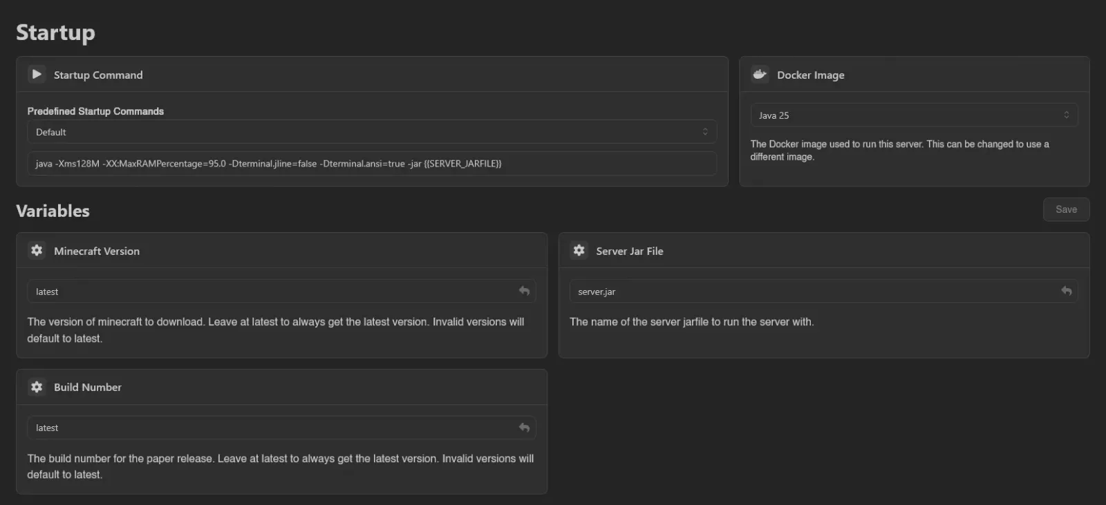 Startup page with command, Docker image, and variables